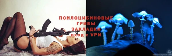 2c-b Мегион