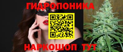 ешки Гай