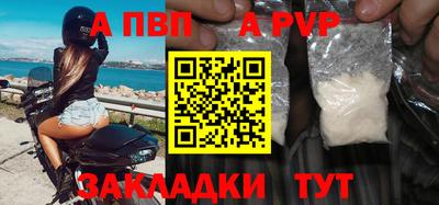 ешки Гай