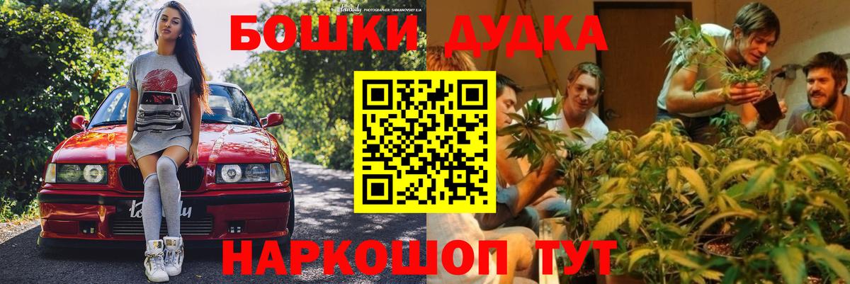 МАРИХУАНА сатива Краснодар